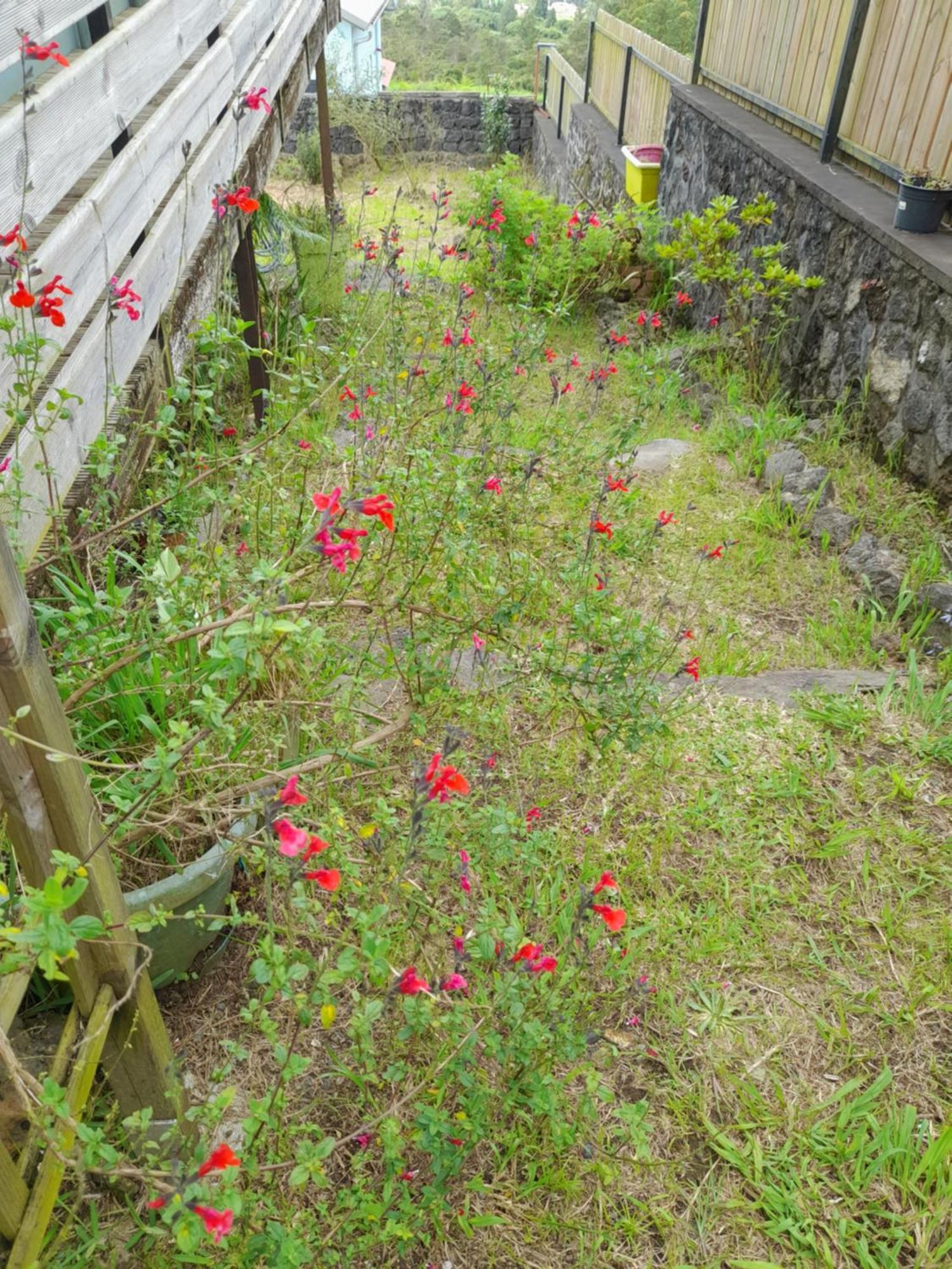 Chez Marie Villa La Plaine-des-Palmistes Esterno foto