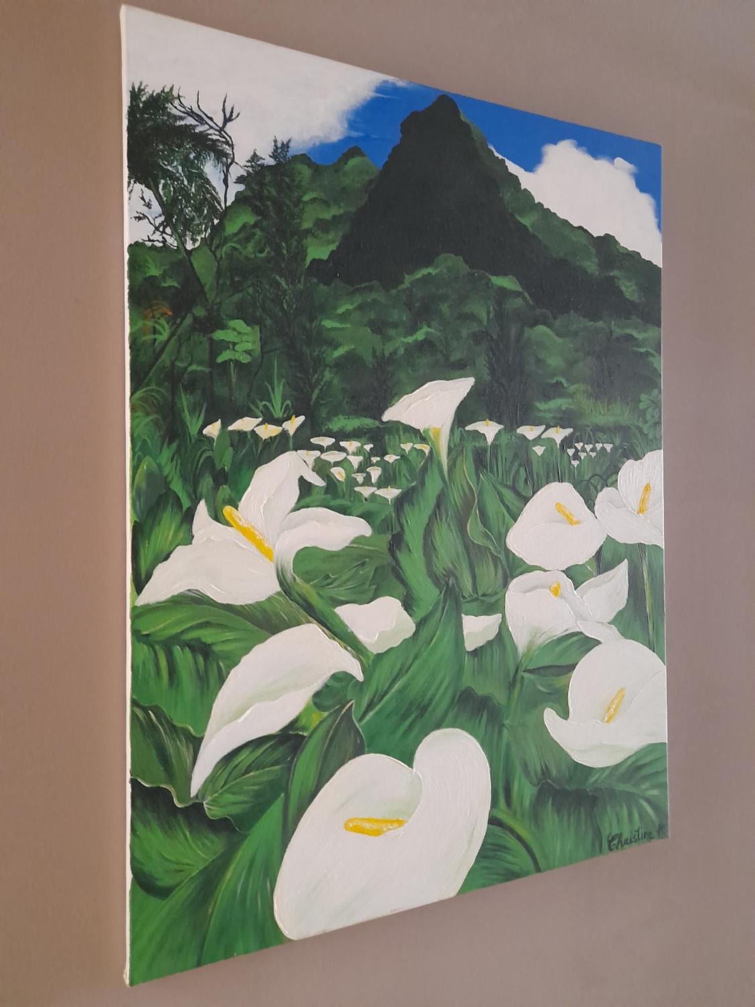 Chez Marie Villa La Plaine-des-Palmistes Esterno foto